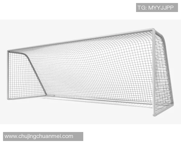 足球球门创新设计专利解析与应用前景探讨